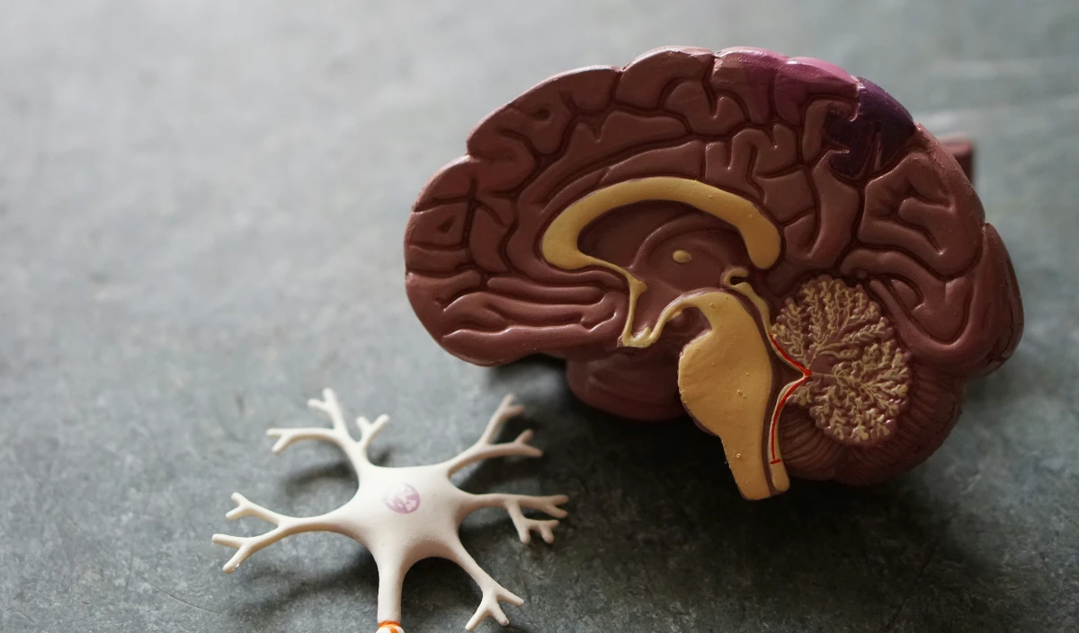 Dementia Crisis and Prevention Dementia Crisis and Prevention