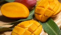 National Mango Day 2026: Global Market में भारतीय आम का जलवा, जानिए क्यों खास है 22 July का यह दिन National Mango Day 2026: Global Market में भारतीय आम का जलवा, जानिए क्यों खास है 22 July का यह दिन