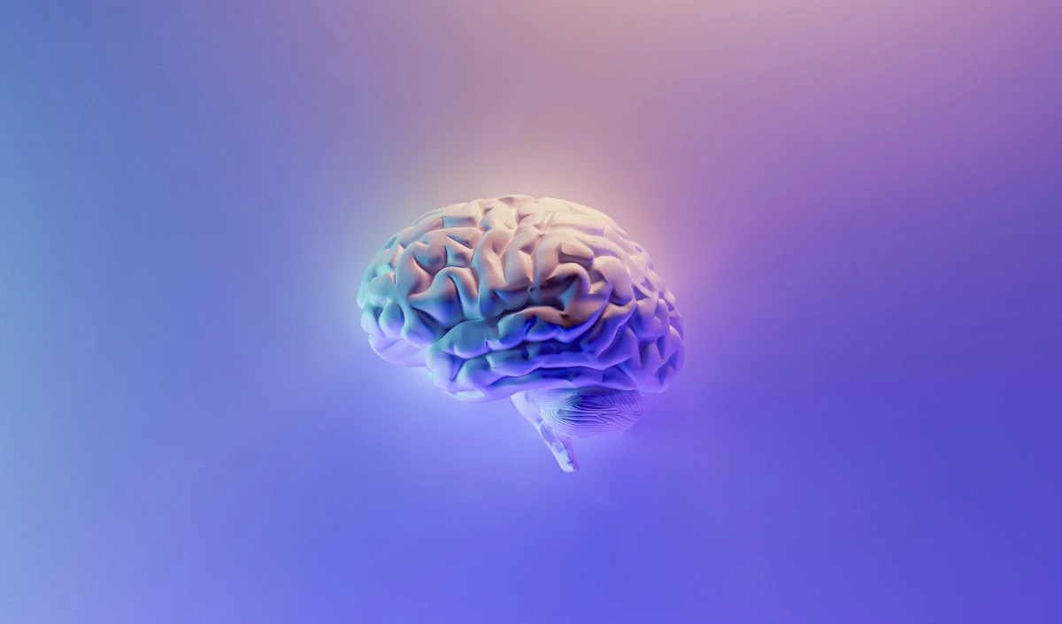 World Brain Day 2026 World Brain Day 2026