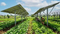“एग्रो-वोल्टिक्स: खाद्य, ऊर्जा और पर्यावरण सुरक्षा का एकीकृत वैज्ञानिक मॉडल” “एग्रो-वोल्टिक्स: खाद्य, ऊर्जा और पर्यावरण सुरक्षा का एकीकृत वैज्ञानिक मॉडल”