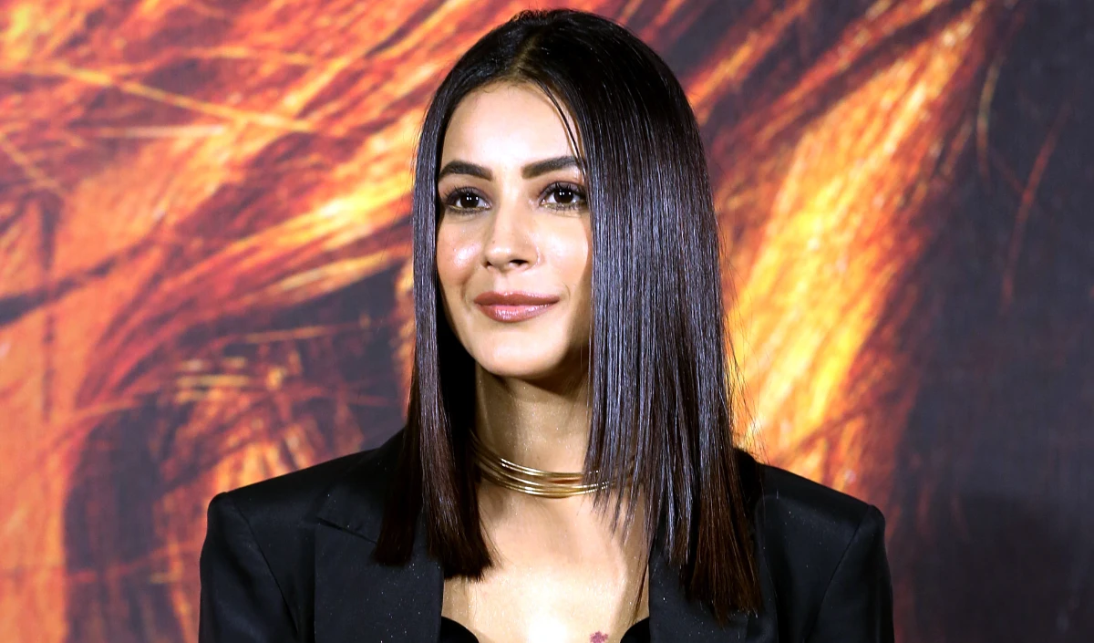 ‘यहाँ आपको लगातार खुद को साबित करना होता है’, Bollywood में अपनी जगह बनाने पर बोलीं Shehnaaz Gill ‘यहाँ आपको लगातार खुद को साबित करना होता है’, Bollywood में अपनी जगह बनाने पर बोलीं Shehnaaz Gill