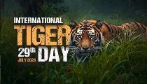 International Tiger Day 2026: Anti-Poaching और आधुनिक तकनीक का कमाल, भारत में तेजी से बढ़ी Tigers की रिकॉर्ड संख्या