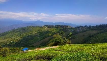 Travel Tips: मानसून में Landslide का खतरा? सुरक्षित सफर के लिए बेस्ट हैं ये 4 Hill Stations, पढ़ें Travel Tips