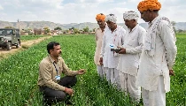 MP Govt Jobs: कृषि विभाग में Agriculture Officer की 2784 पदों पर भर्ती, जानें पूरी Vacancy डिटेल