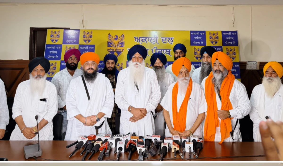 Amritpal Singh party Amritpal Singh party