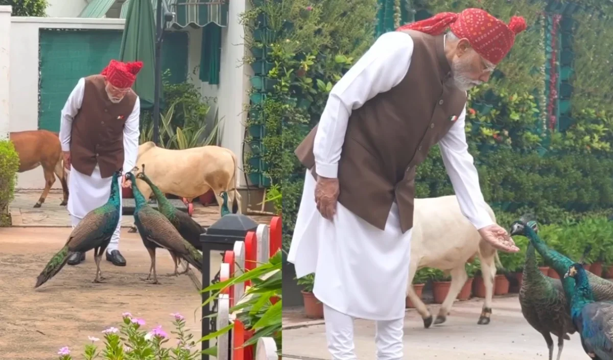 PM Modi का नया इंस्टाग्राम वीडियो वायरल, जानवरों के साथ उनके खास लगाव की लोग कर रहे तारीफ