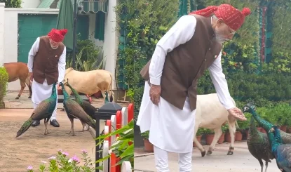 PM Modi का नया इंस्टाग्राम वीडियो वायरल, जानवरों के साथ उनके खास लगाव की लोग कर रहे तारीफ