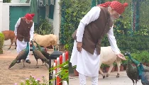 PM Modi का नया इंस्टाग्राम वीडियो वायरल, जानवरों के साथ उनके खास लगाव की लोग कर रहे तारीफ