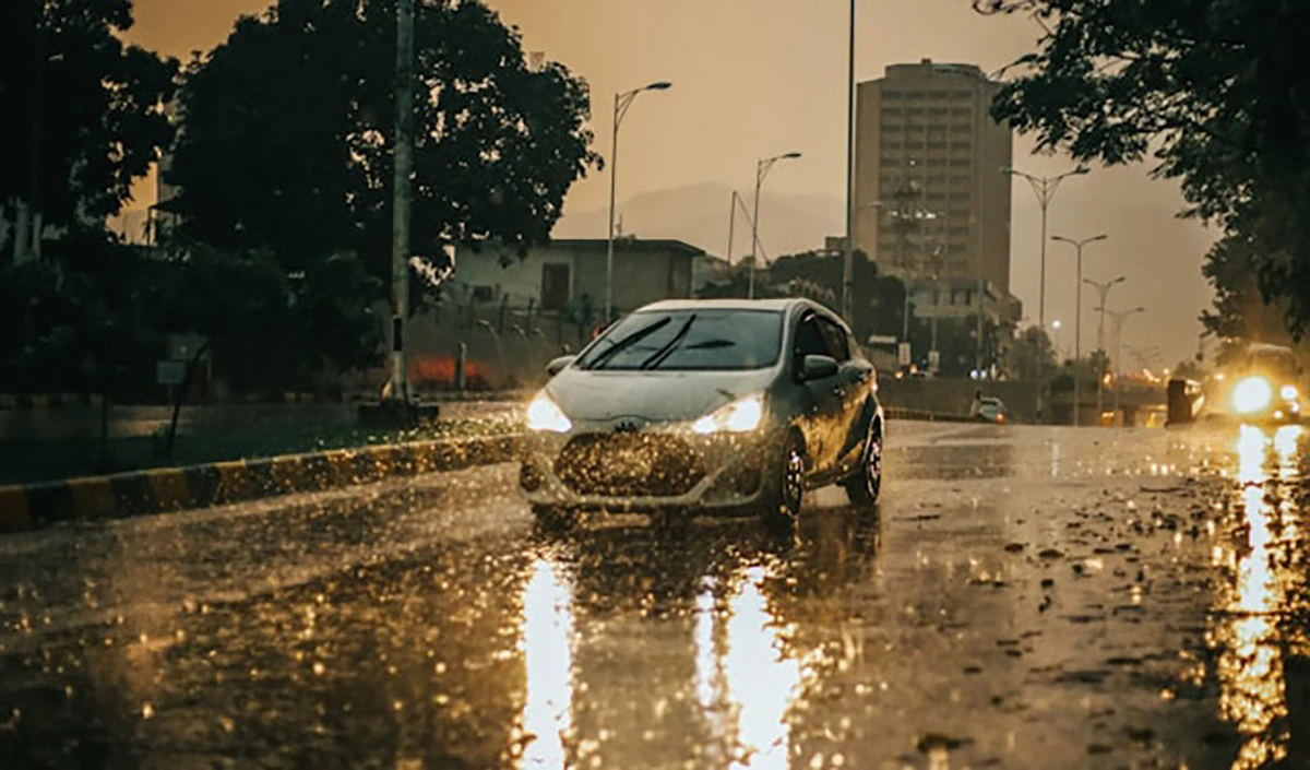 Best Monsoon Car Accessories Best Monsoon Car Accessories