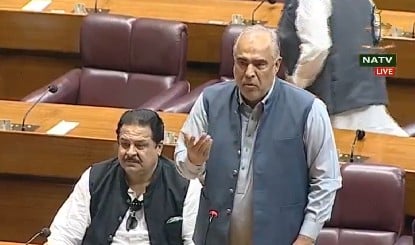 सिर्फ भारतीयों और अमेरिकन की एंट्री... UAE ने हमें होटलों से भगाया,पाकिस्तानी संसद में MP ने बयां किया दर्द