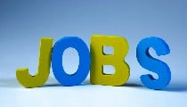 Punjab and Haryana High Court Jobs: 56 पदों पर भर्ती प्रक्रिया शुरू, जानिए Eligibility और Last Date