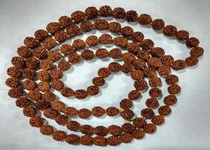 Rudraksha Benefits: Shiva Puran के अनुसार रुद्राक्ष से जुड़े ये भ्रम दूर करना जरूरी, जानिए Scientific and Spiritual महत्व