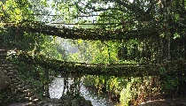 Offbeat Destinations for Monsoon: भीड़भाड़ से दूर सुकून की तलाश? Meghalaya और Arunachal के इन गांवों में लें आनंद
