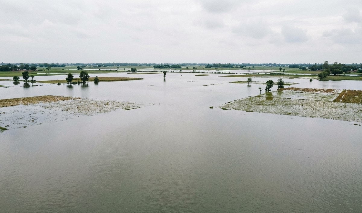 Shivraj Singh Chouhan ने किया Bihar Flood प्रभावित क्षेत्रों का दौरा, हर संभव केंद्रीय मदद का भरोसा दिया Shivraj Singh Chouhan ने किया Bihar Flood प्रभावित क्षेत्रों का दौरा, हर संभव केंद्रीय मदद का भरोसा दिया