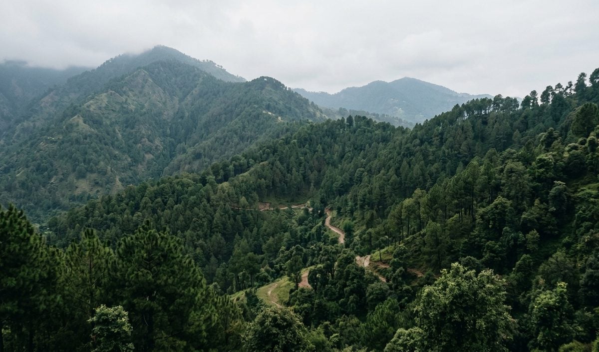 Udhampur के जंगल में सुरक्षाबलों ने Jaish e Mohammed के दो आतंकियों को मार गिराया Udhampur के जंगल में सुरक्षाबलों ने Jaish e Mohammed के दो आतंकियों को मार गिराया