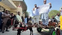 पेट्रोल की कीमत 390 रुपए के पार, गधा लेकर पाकिस्तान की असेंबली में घुस गए इमरान खान की पार्टी के नेता