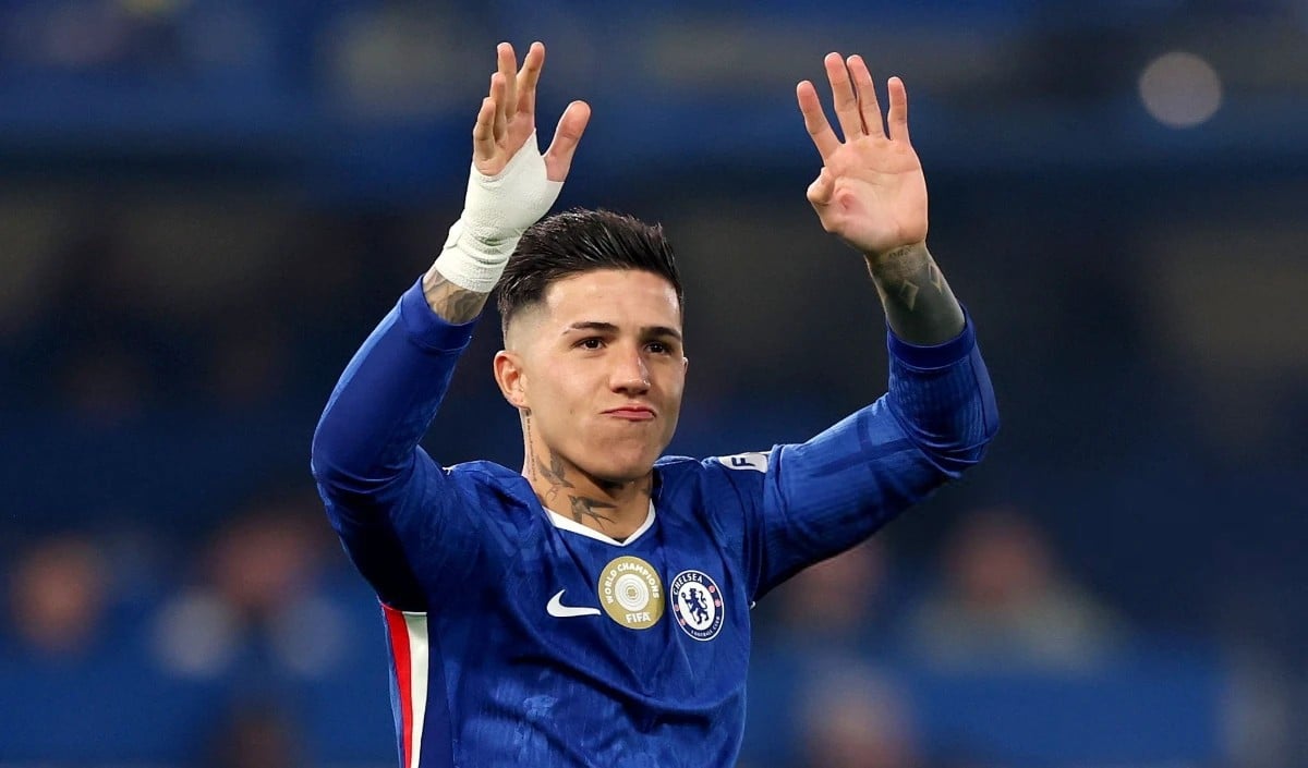 Enzo Fernandez Enzo Fernandez