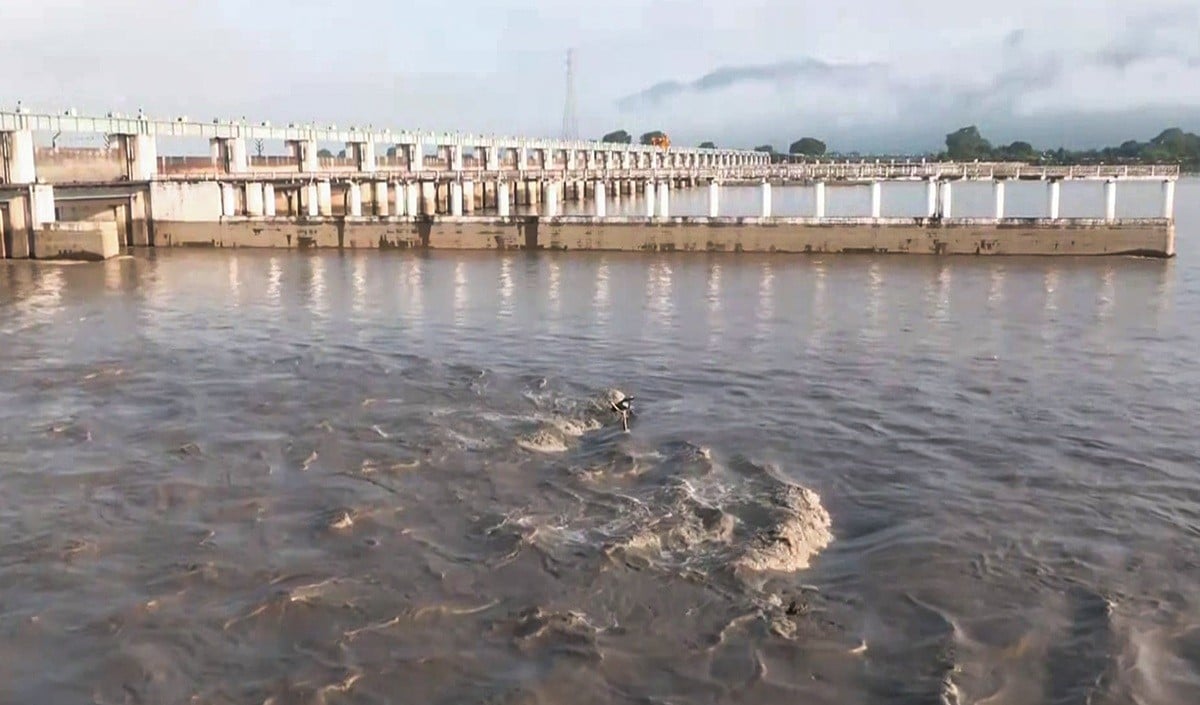 Nepal से Bihar पहुंची 