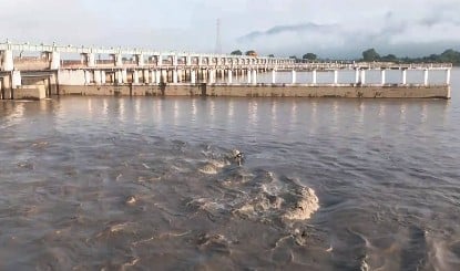 Nepal से Bihar पहुंची 