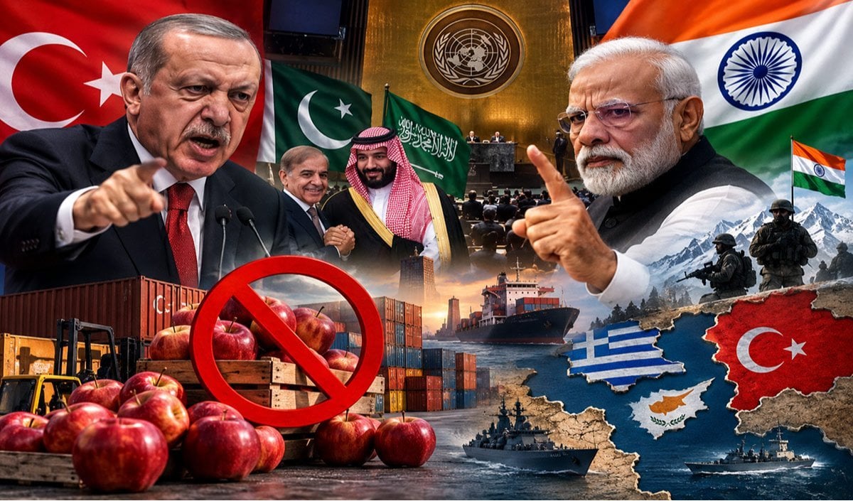 Erdogan Kashmir Statement Erdogan Kashmir Statement