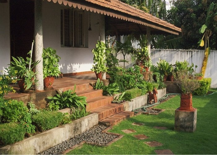 Balcony Garden में 12 से 15 इंच के गमले में लगाएं Neem का पौधा, तैयार करें सही Potting Mix