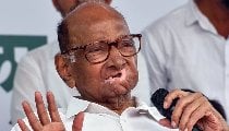 N Chandrasekaran की नियुक्ति पर बोले Sharad Pawar, Tata Trusts के अधिकारों का हो पूरा सम्मान