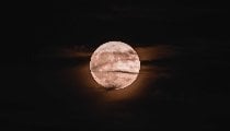 26 सितंबर की रात क्यों खास होगा चांद? Harvest Moon से जुड़ी ये बातें जानिए 26 सितंबर की रात क्यों खास होगा चांद? Harvest Moon से जुड़ी ये बातें जानिए