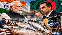 Modi के Gujarat की Hilsa Fish के आयात पर Tarique Rahman ने लगा दी रोक, India-Bangladesh रिश्तों में आई नई टेंशन