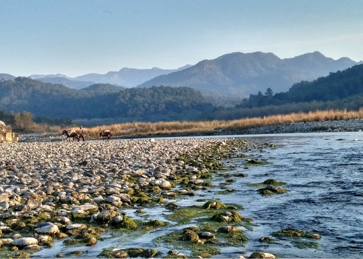 Travel Tips: शिमला-मनाली की भीड़ से दूर कम बजट में शांत Hill Station है Uttarakhand का Chakrata