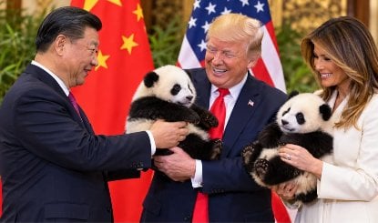 China Panda Diplomacy: अमेरिका को 2 पांडा गिफ्ट करेंगे जिनपिंग, दोनों बनेंगे दोस्ती के दूत, प्यारा सा दिखने वाला जानवर पिघलाएगा रिश्तों में जमी बर्फ