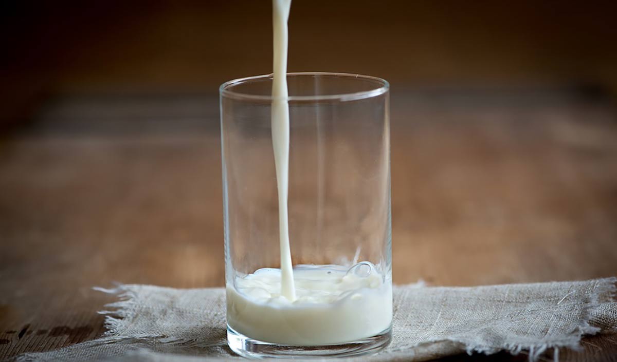 शोधकर्ताओं ने विकसित की दूध में मिलावट का पता लगाने की नई पद्धति