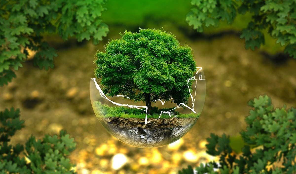 प्रधानमंत्री मोदी ने दुनिया में पर्यावरण संरक्षण के लिये सकारात्मक वातावरण बनाया
