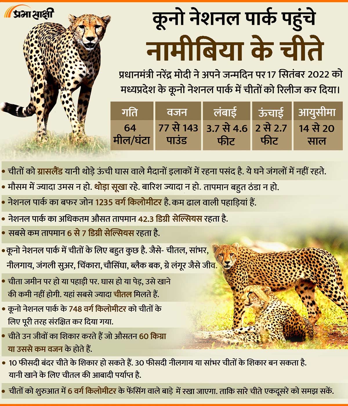 8 Cheetahs Brought to India